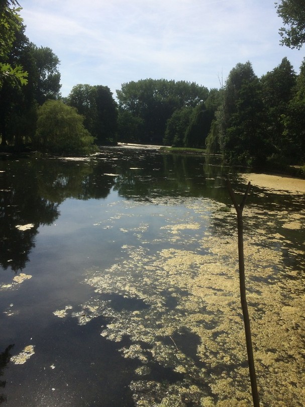 floris v tot Parijs , mooie plas kasteel Schouten