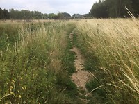 floris v tot Parijs , goede pad