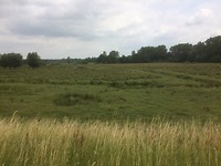 floris v tot Parijs , natuur