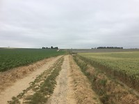 floris v tot Parijs , rustige weg Zemst