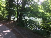 floris v tot Parijs , mooie natuur