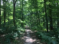 floris v tot Parijs , mooie natuur