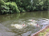 floris v tot Parijs , canal zwemmen warm