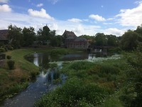 floris v tot Parijs , mooie Natuur