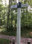 floris v tot Parijs , midden in het bos handwijzer