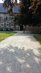 Walk of Wisdom