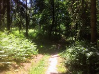 Walk of Wisdom