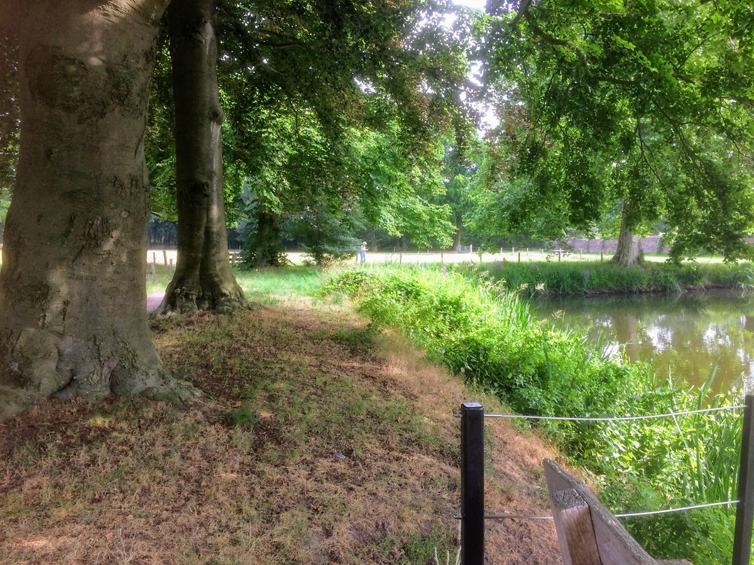 Walk of Wisdom
