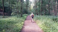 Walk of Wisdom