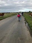 Hadrian's Wall Path