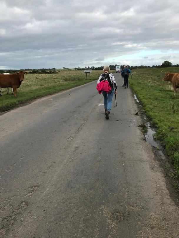 Hadrian's Wall Path
