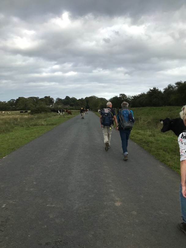 Hadrian's Wall Path
