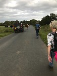 Hadrian's Wall Path