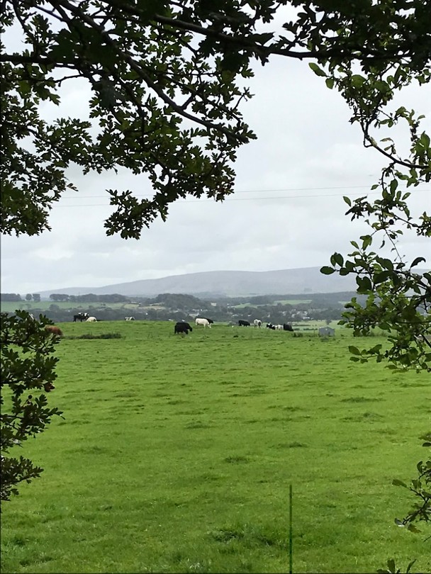 Hadrian's Wall Path