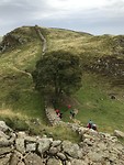 Hadrian's wall Path