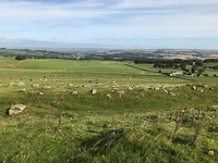 Hadrian's Wall Path