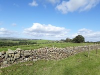 Hadrian's Wall Path