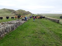 Hadrian's Wall Path