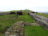Hadrian's Wall Path