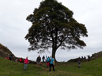 Hadrian's Wall Path