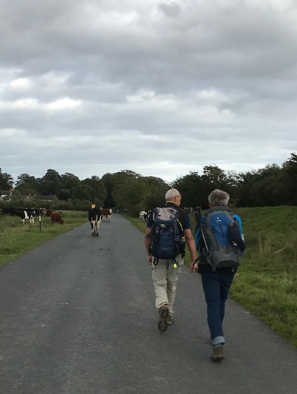Hadrian's Wall Path