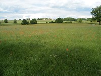 Valence