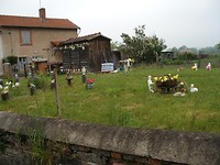 Roanne