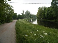 Roanne