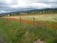 Champdieu