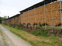 Latrille