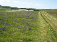 St Chely d' Aubrac