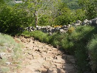 Belverzet