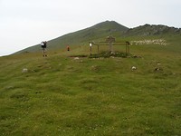 Pyreneeen