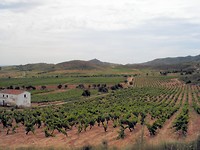 Pantano de Elche