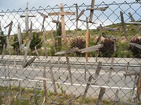 Pantano.  de Elche