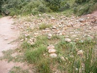 Navarrete
