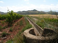 Najera