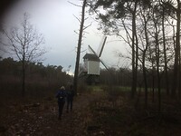 Dommelroute