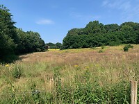 9-7-2021  het groeisamen weer deze tijd   mookerheide