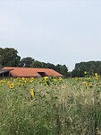 24 juli  maas Niederrheinpad