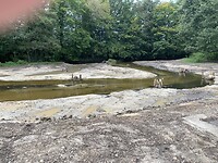 Maas Niederrheinpad