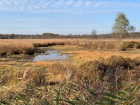 29-10-'21  Maas -Niederrheinpad