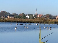 Maas - Niederrheinpad