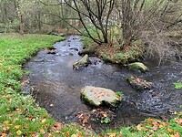 Maas-Niederrheinpad