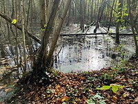 Maas-Niederrheinpad