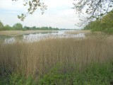 Vandaag veel natuurschoon;