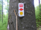Route aanduiding