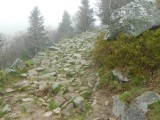 Richting le Hohneck, 1363m hoog