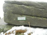 Taubenklangfelsen, voorbij Col du Calvaire, in de buurt van Orbey, Frankrijk
