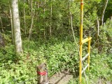 Poortje in het bos in de buurt van Chamesol